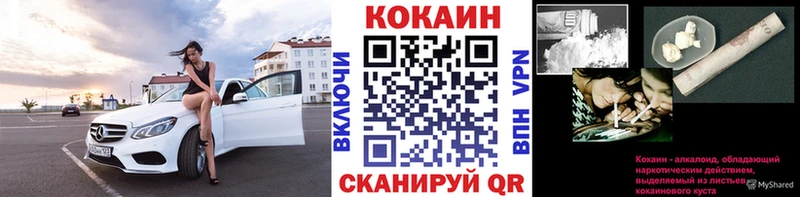 КОКАИН Fish Scale  mega как войти  Новоржев  как найти закладки 