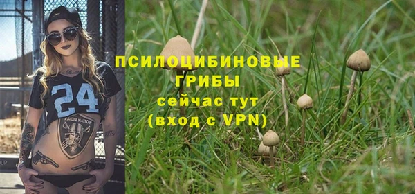 соль курить ск Мамадыш