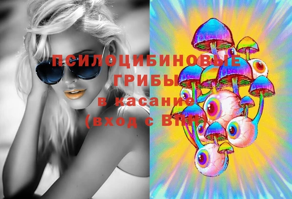 spice Верея