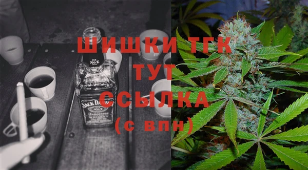 ешки Верхний Тагил