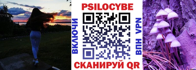 blacksprut ONION Новоржев Галлюциногенные грибы ЛСД цены